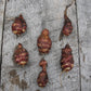Jerusalem Artichoke, Red - Helianthus tuberosus